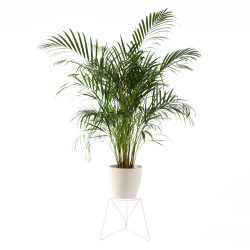 BONA BLUM kwietnik na duże rośliny, styl loftowy loftowy, polski design
