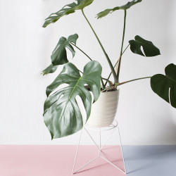 BONA BLUM kwietnik na duże rośliny, styl loftowy loftowy, polski design